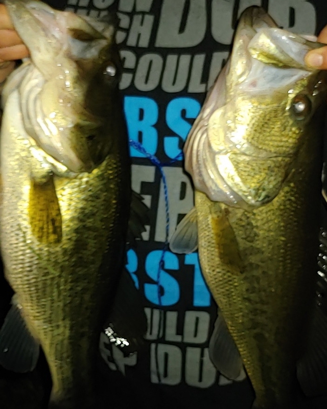 A photo of John c's catch