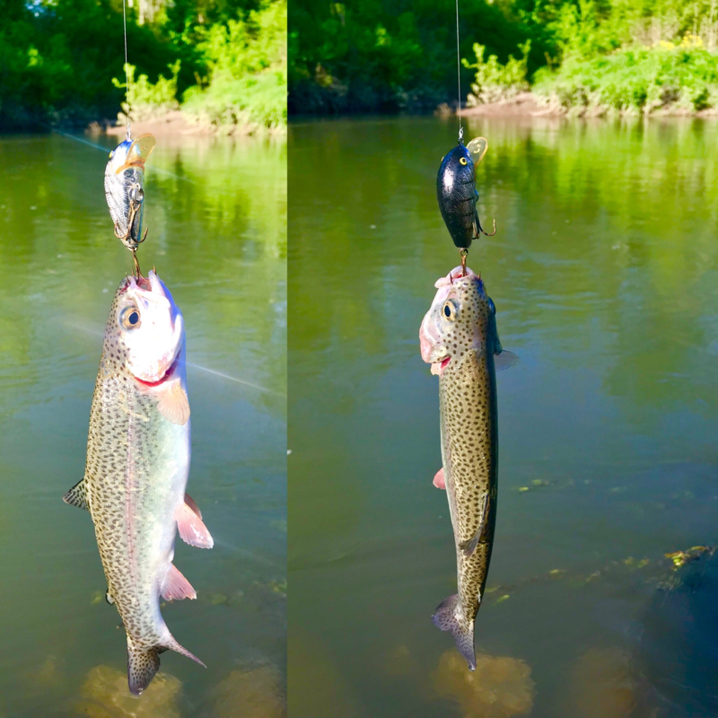 A photo of THOMAS CULP's catch