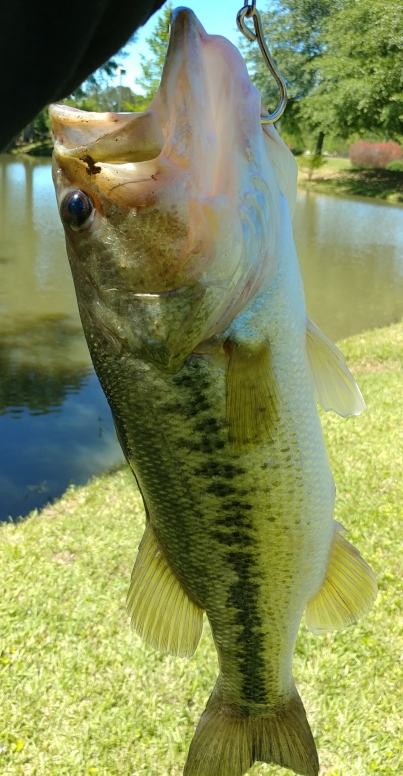 A photo of Geoffrey Rogers's catch