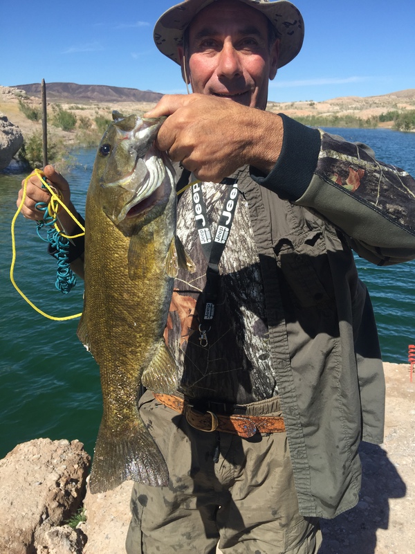 lake mead shore fishing spots