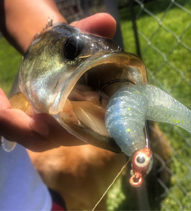 A photo of Bayron Jaramillo's catch