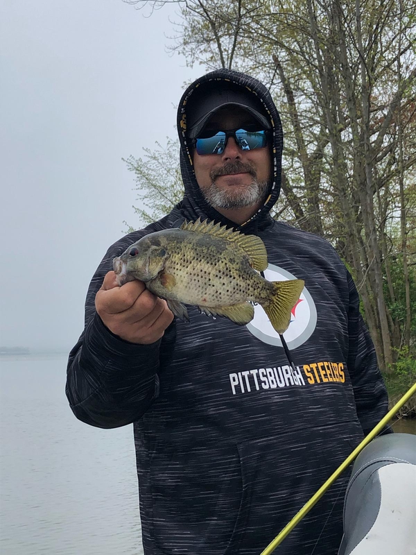 Go Fish Bait And Tackle Middletown Ohio