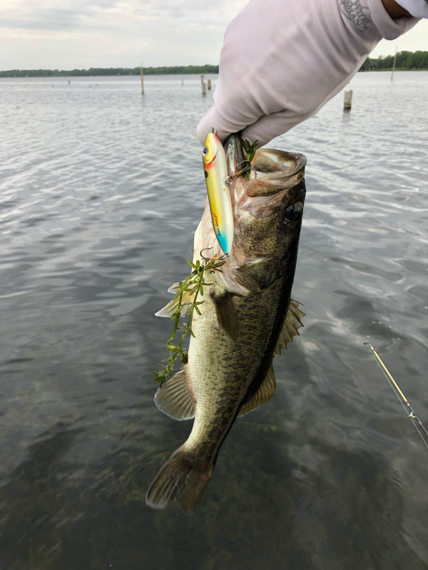 A photo of Eric Shults's catch