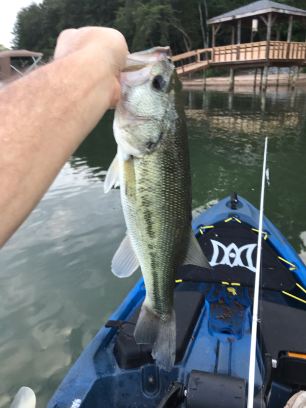 A photo of Will Kilburn's catch