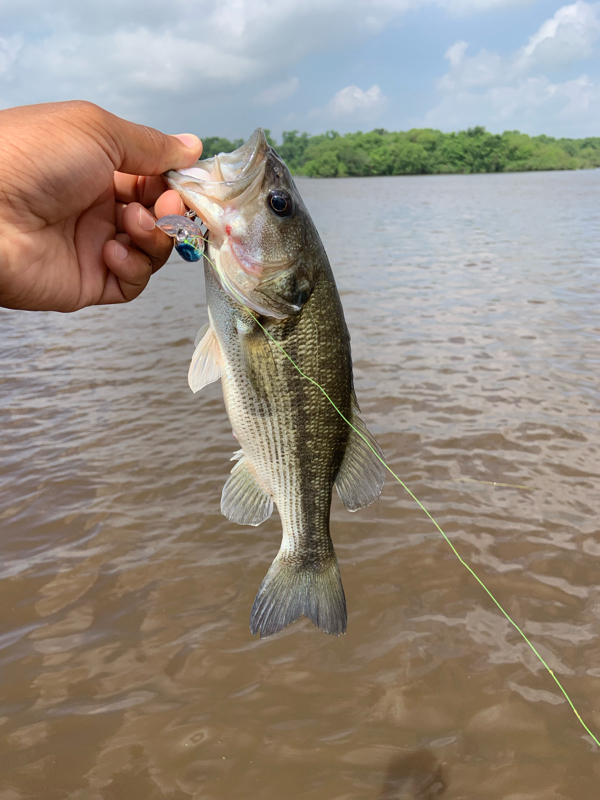 A photo of Jacorey Smith's catch