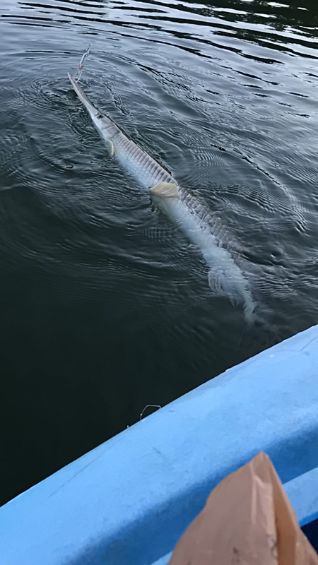 A photo of Will Kilburn's catch