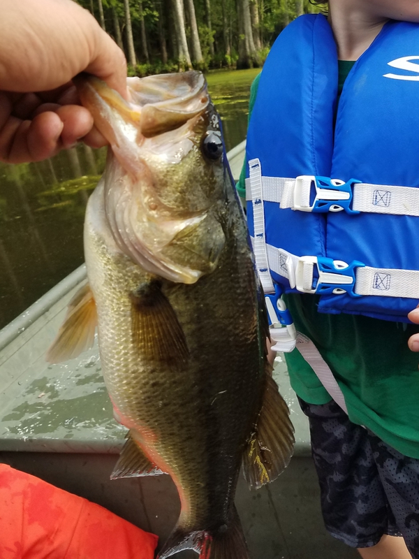 A photo of chris dail's catch