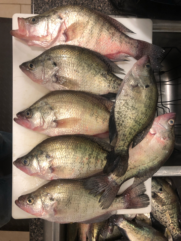 A photo of Robert Clark Jr's catch