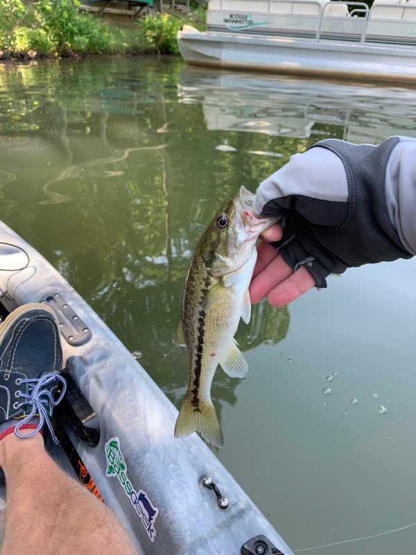 A photo of Dean Lyons's catch