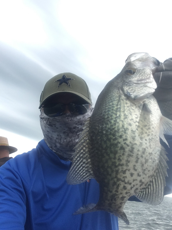 A photo of Bird_dog's catch