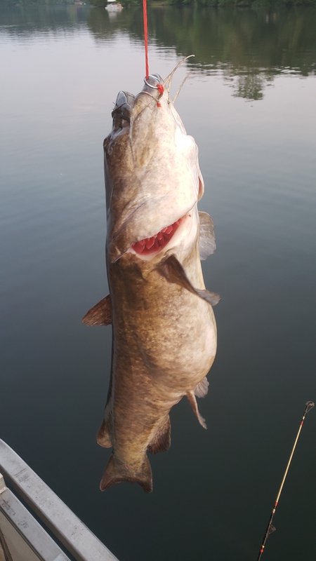 A photo of EDDIE MCCLELLAND's catch