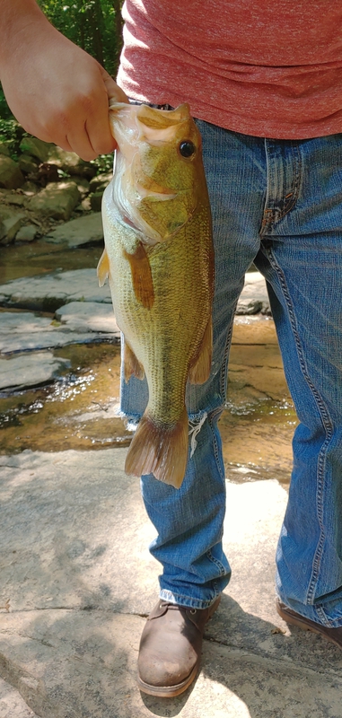 A photo of Justin McDaniel's catch