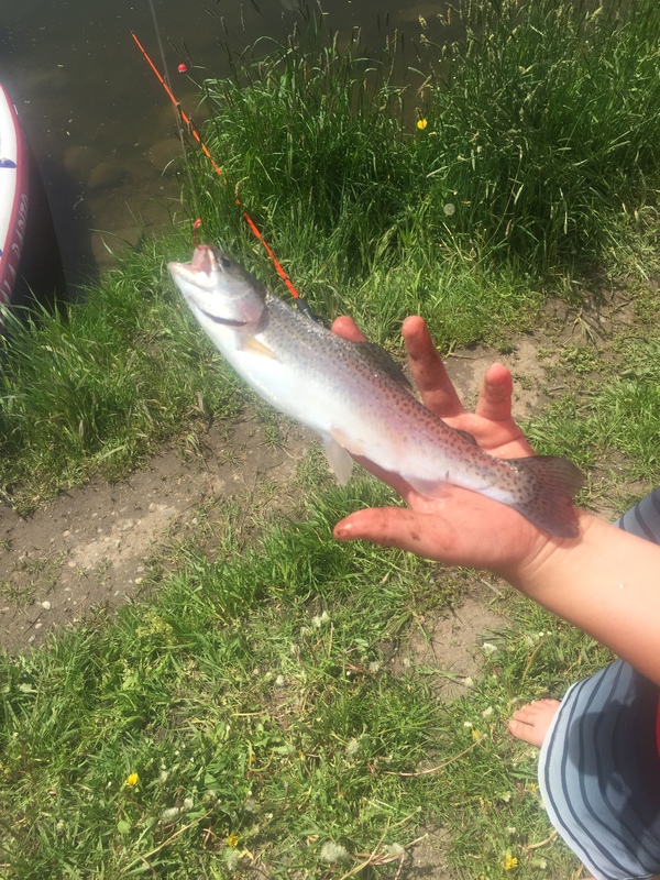 Caught a Rainbow Trout on Fletcher Park using a Nightcrawlers on bobber