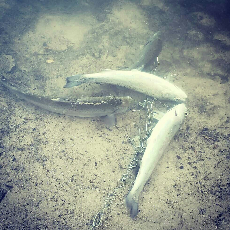 A photo of Jonah Bush's catch