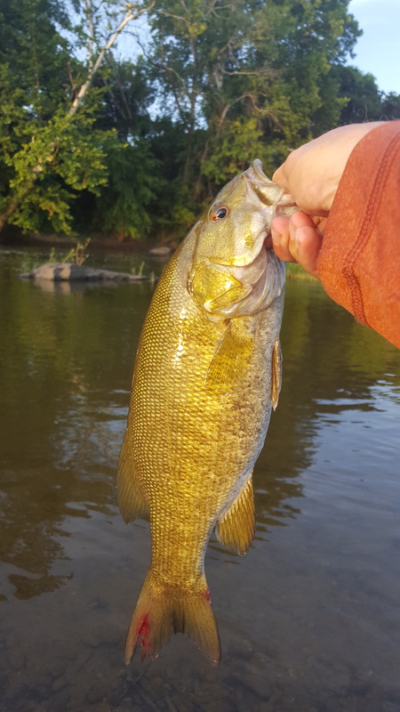 James River (Watkins Landing) VA Fishing Reports, Maps & Hot Spots