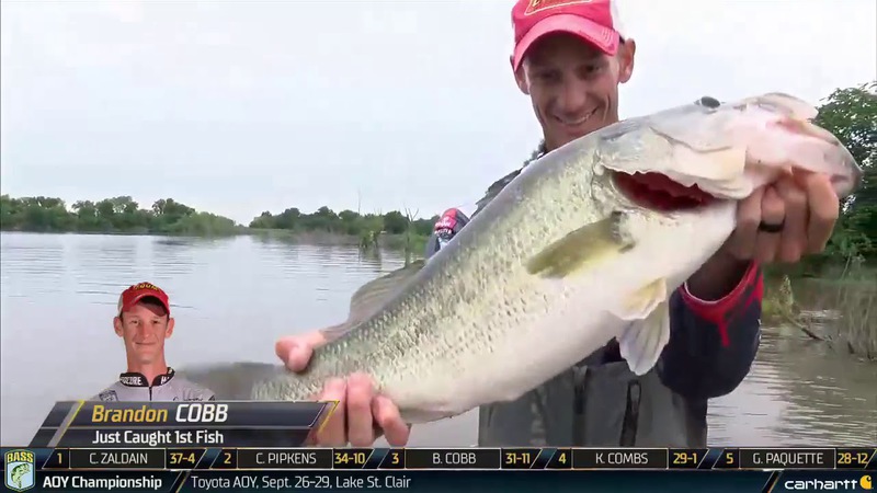 A photo of brandon cobb's catch