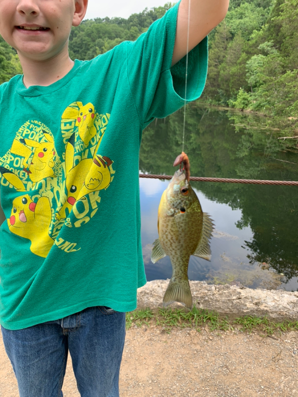 Mill Creek Ky Fishing Reports Map Hot Spots