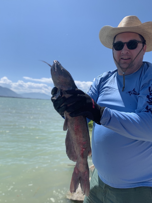 Utah Lake Ut Fishing Reports Map Hot Spots