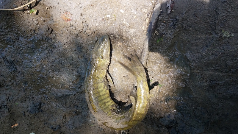 A photo of Jess Worden's catch