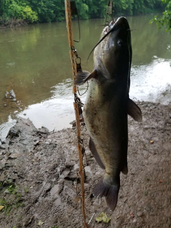 A photo of Jason Maxwell's catch