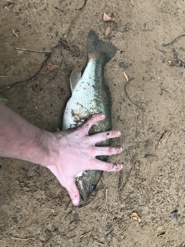 A photo of Luke Roberts's catch