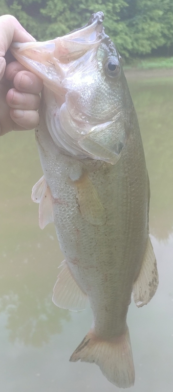 A photo of Geoffrey Rogers's catch