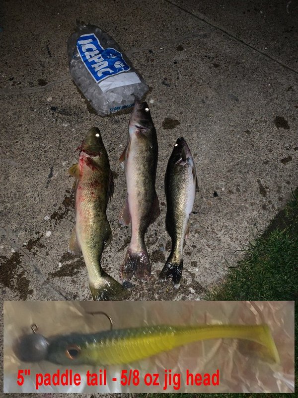 A photo of peter duzy's catch