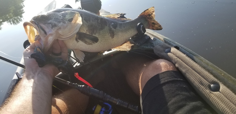 A photo of Fish Burgh's catch