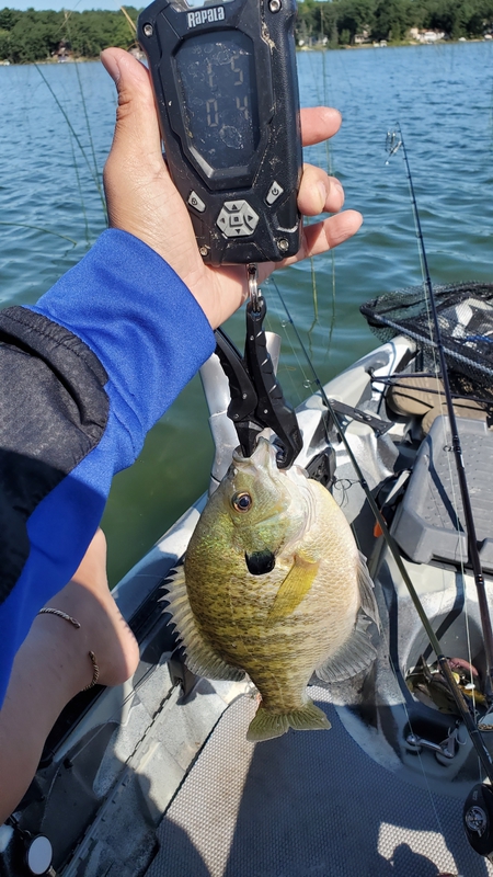 A photo of Asian Bucket  Man's catch
