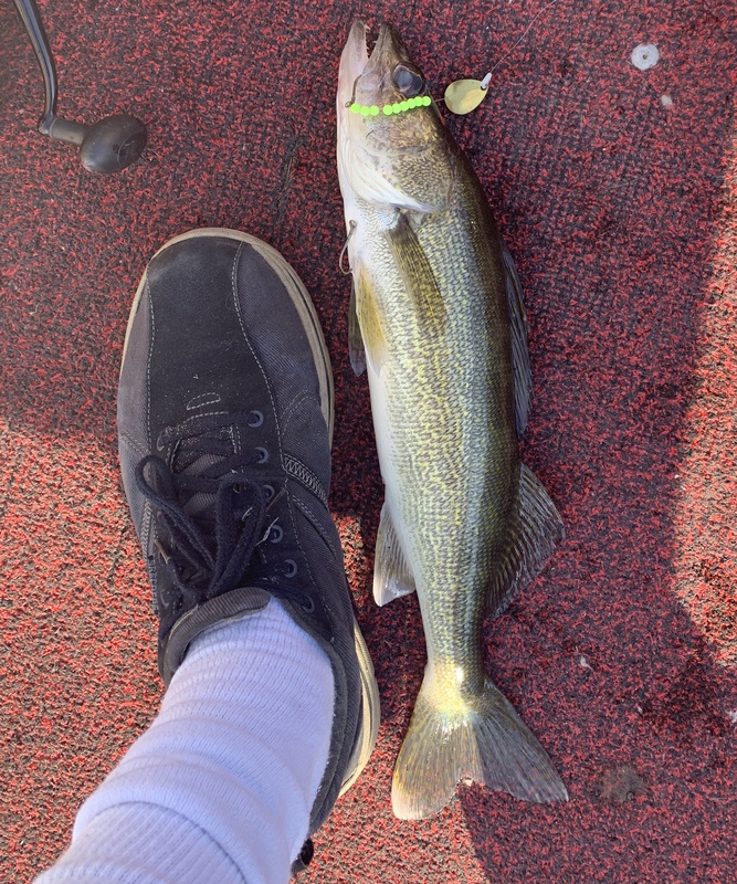 A photo of Tyler Mackey's catch