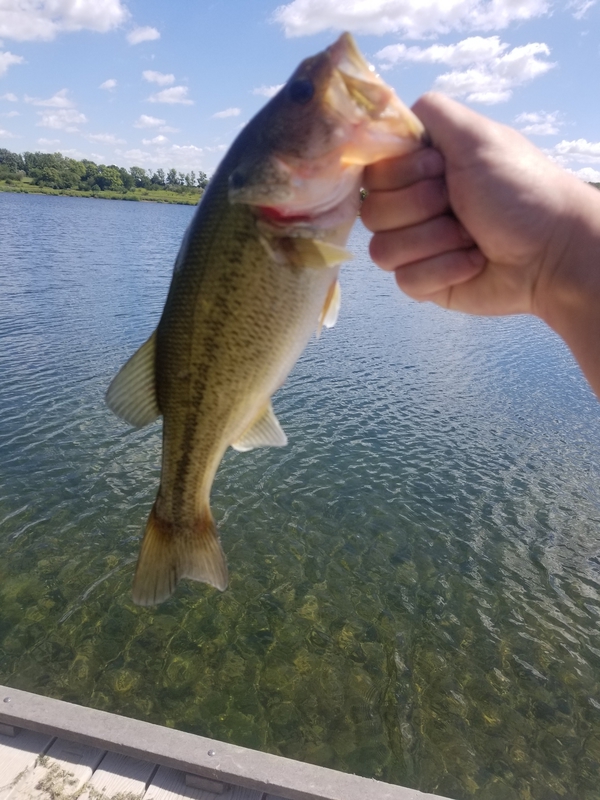A photo of alexander hollis's catch