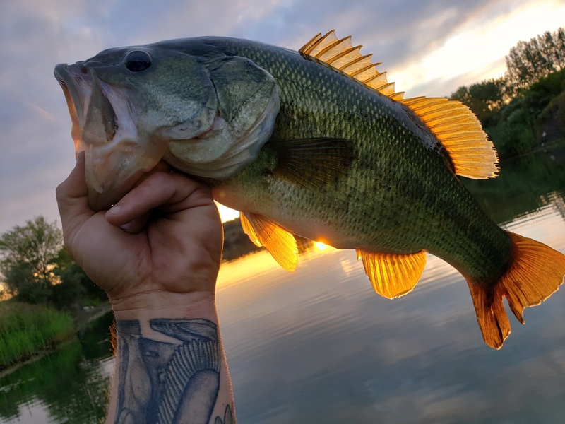 A photo of chad jewell's catch