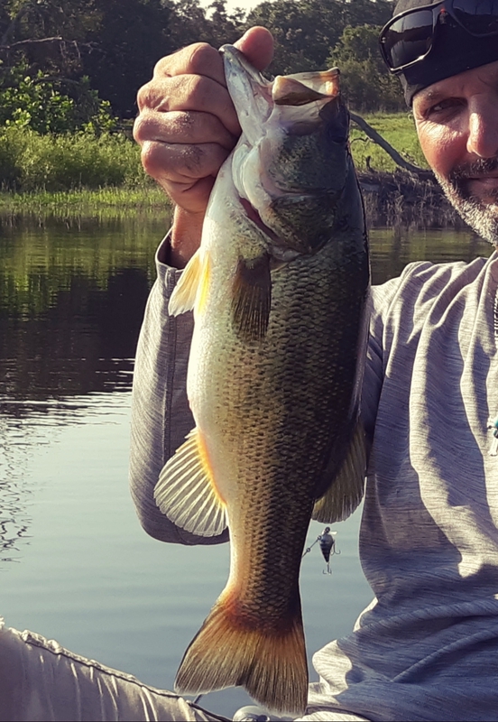 A photo of Mike Barham 's catch