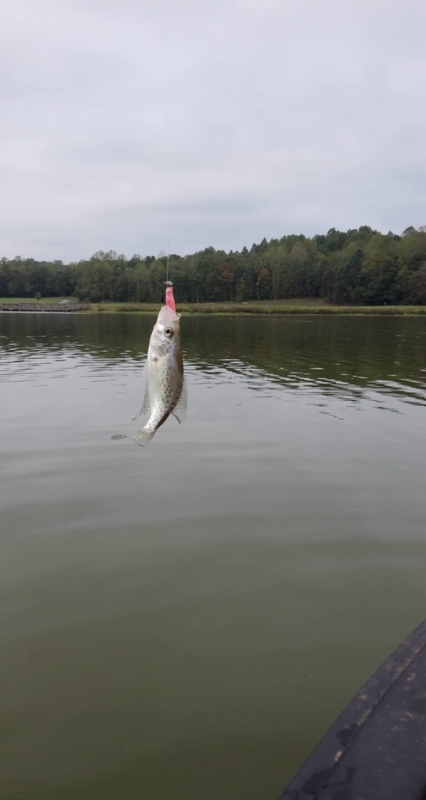 A photo of Edward Hardin's catch