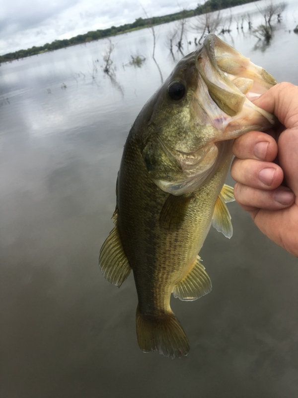 A photo of Gary Hanna's catch