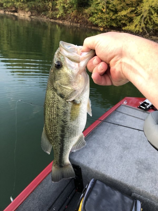 A photo of Scott Green's catch