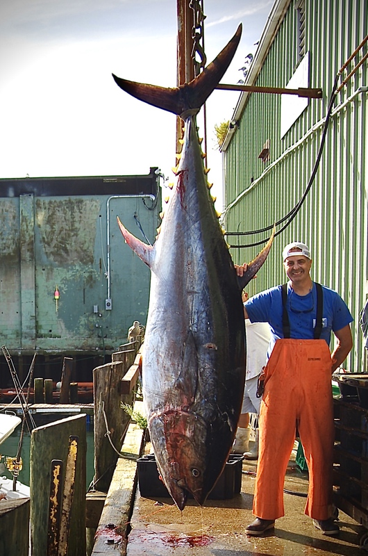 A photo of Tom T-Sea's catch