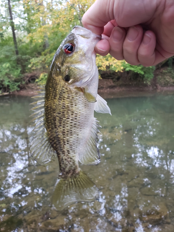 A photo of Jon Walker's catch