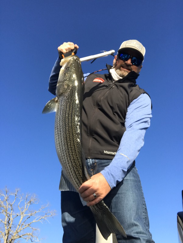 A photo of Darren Mulford 's catch