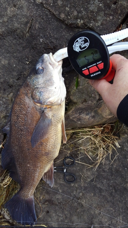 A photo of jay miller's catch