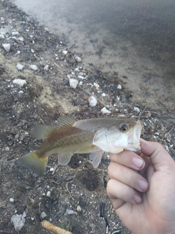 A photo of Zac Hammontree's catch
