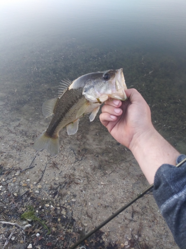 A photo of Zac Hammontree's catch
