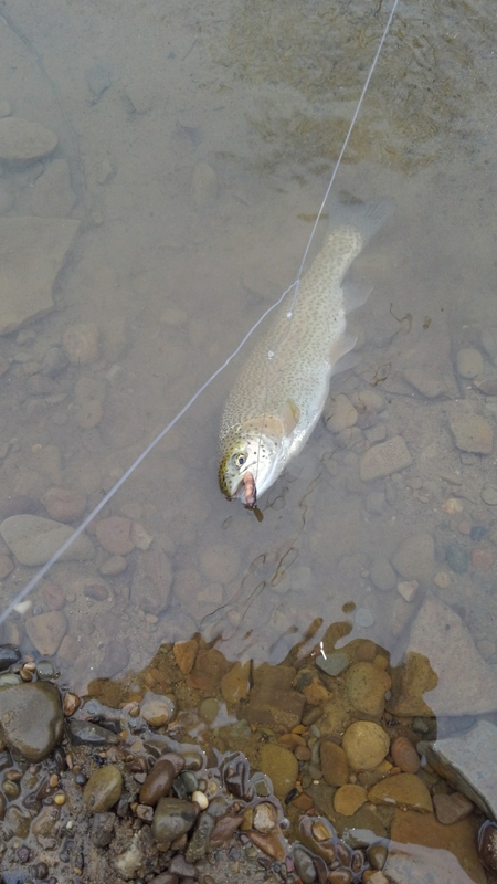 A photo of jay miller's catch