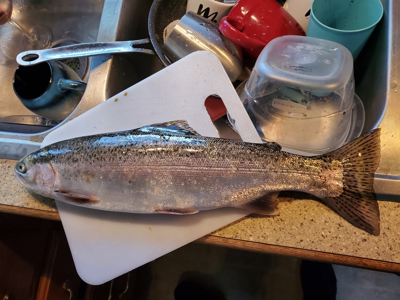 A photo of Steve Funk's catch
