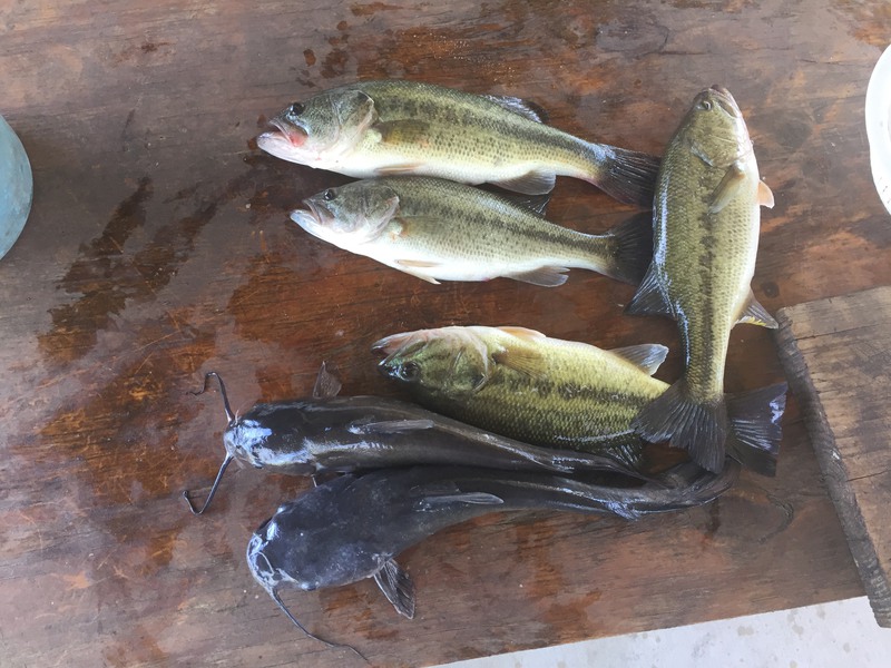 A photo of Charles Dartez's catch