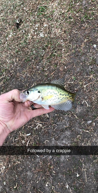 A photo of Jason Stocker's catch