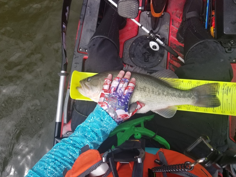 A photo of Joe Shew's catch