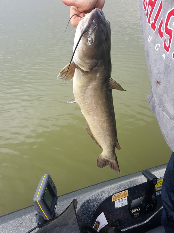 A photo of theodore lehew's catch