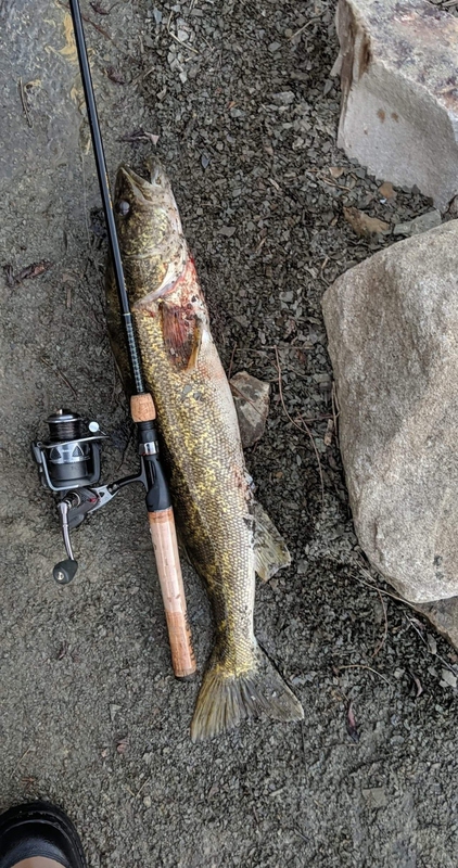 A photo of MATTHEW DILLY's catch