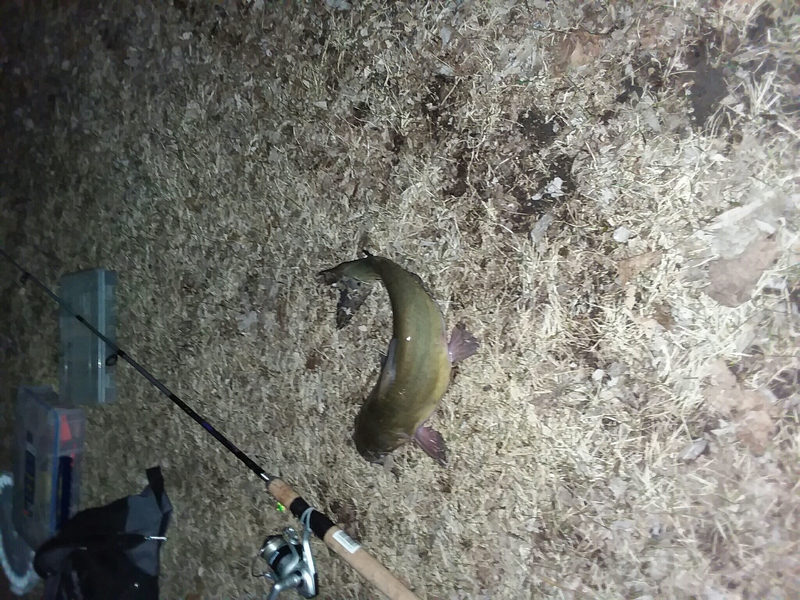 A photo of joseph pfalzgraf's catch